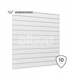 panel-ogrodzeniowy-2d-wisniowski-vega-2430-grafitowy